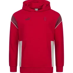 AC Mailand PUMA ftblARCHIVE Herren Hoodie 774033-06
