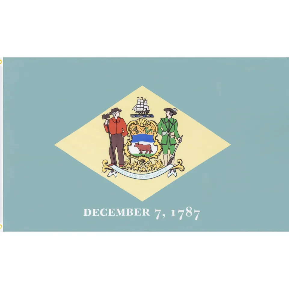 Delaware MUWO "America Edition" Flagge 90x150cm