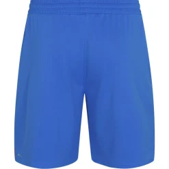 Island PUMA Herren Heim Shorts 766069-01