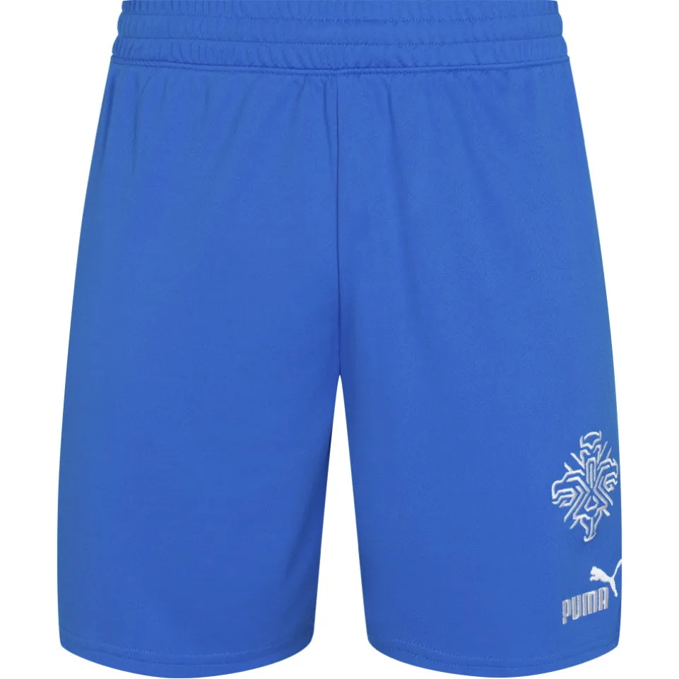 Island PUMA Herren Heim Shorts 766069-01