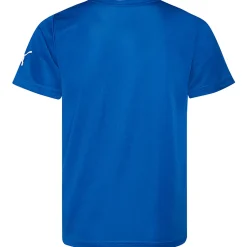 Italien FIGC PUMA Kinder Fan T-Shirt 749112-01