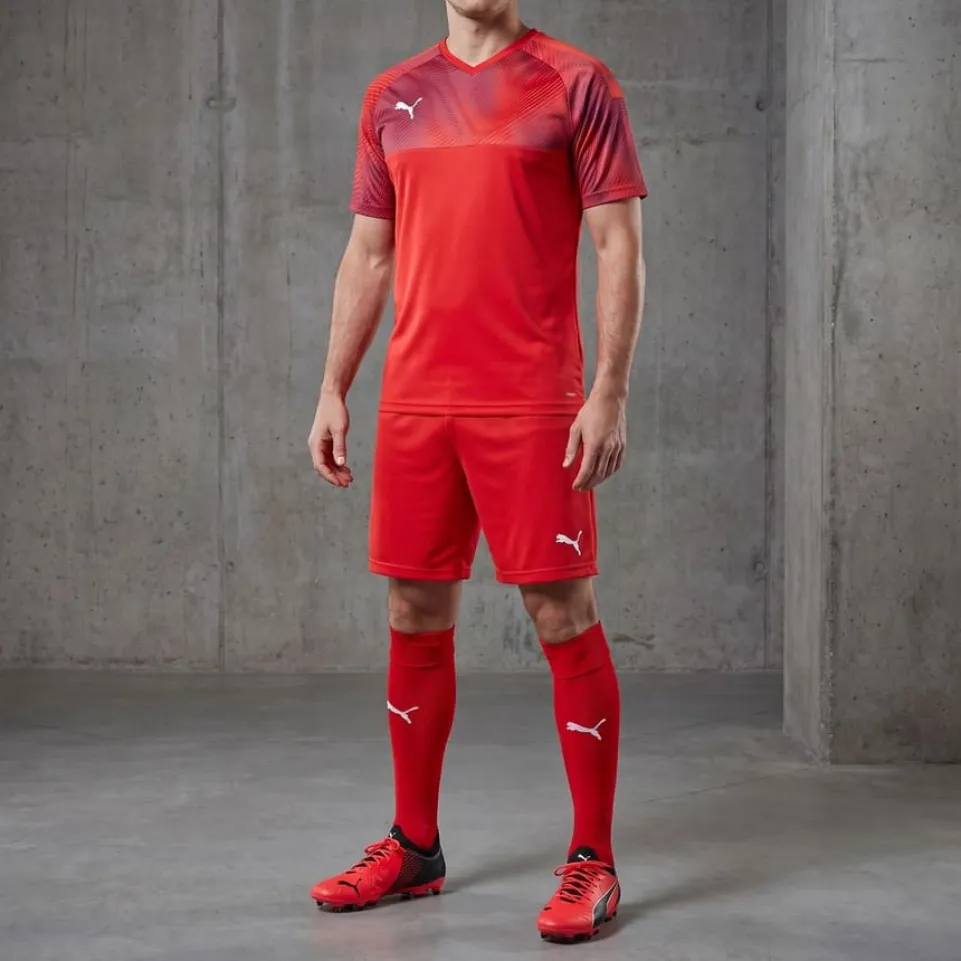 PUMA CUP Jersey Herren Trikot 704066-01
