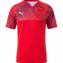 PUMA CUP Jersey Herren Trikot 704066-01