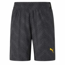 PUMA FTBLnxt Graphic Kinder Shorts 657019-04