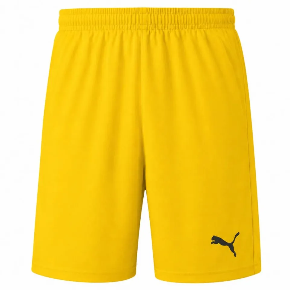 PUMA LIGA Core Herren Shorts mit Innenhose 703615-07