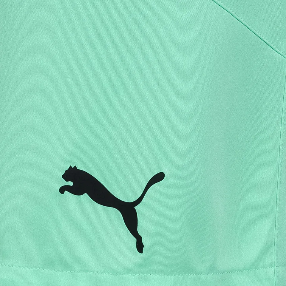 PUMA teamFINAL Herren Training Shorts 704257-21