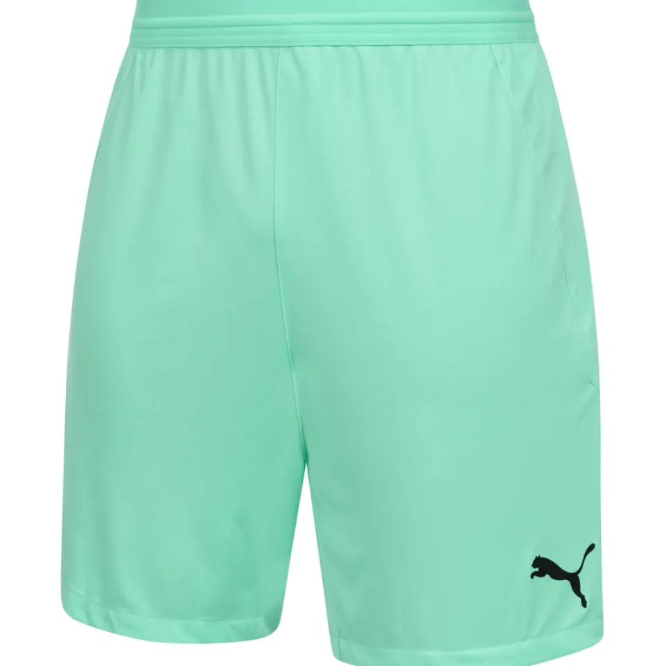 PUMA teamFINAL Herren Training Shorts 704257-21