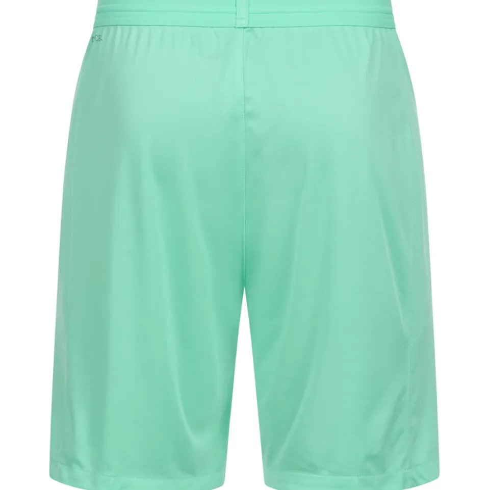 PUMA teamFINAL Herren Training Shorts 704257-21