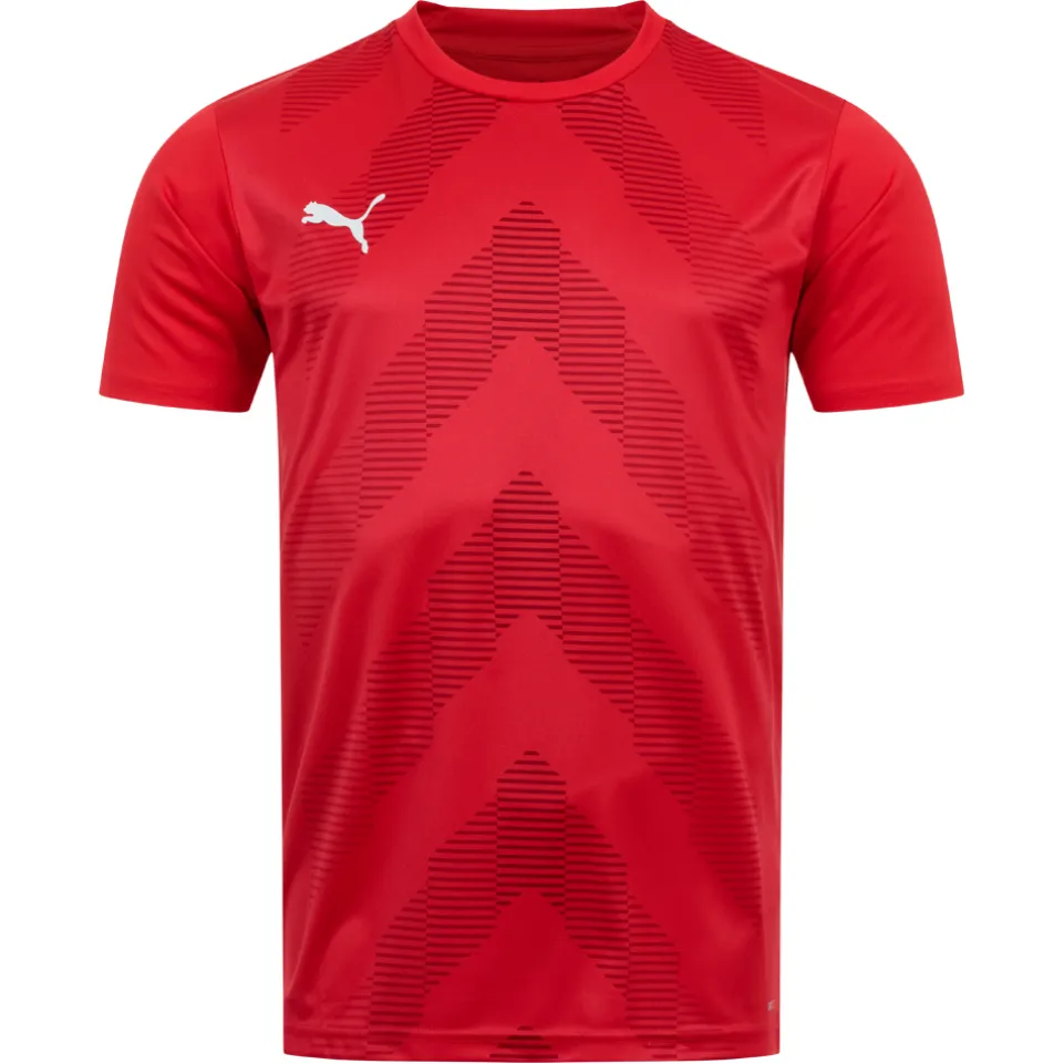 PUMA teamGLORY Jersey Herren Trikot 705017-01