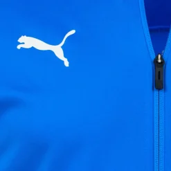 PUMA teamGOAL Herren Trainingsjacke 656561-02