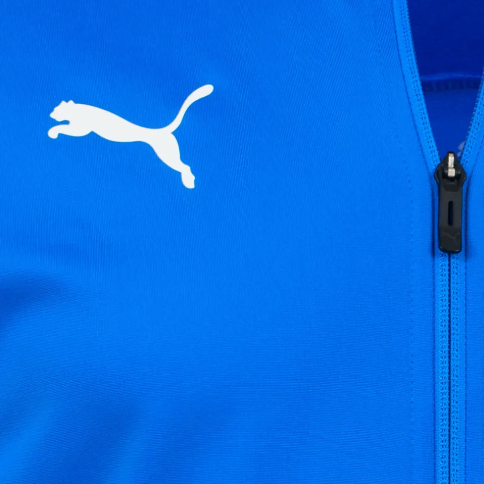 PUMA teamGOAL Herren Trainingsjacke 656561-02