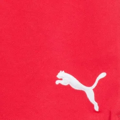 PUMA Vencida Kinder Shorts 700266-02