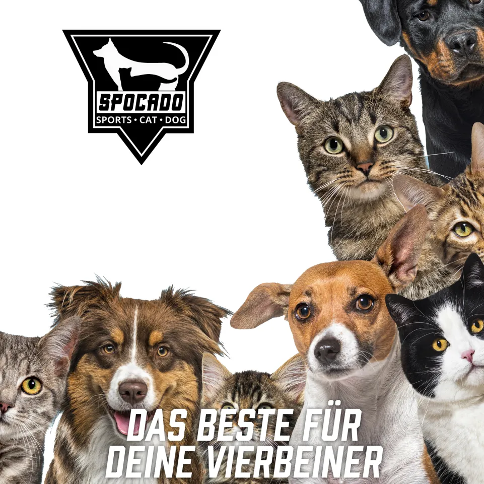 SPOCADO "Albion" Hundetreppe mit Plüschbezug 3-stufig grau