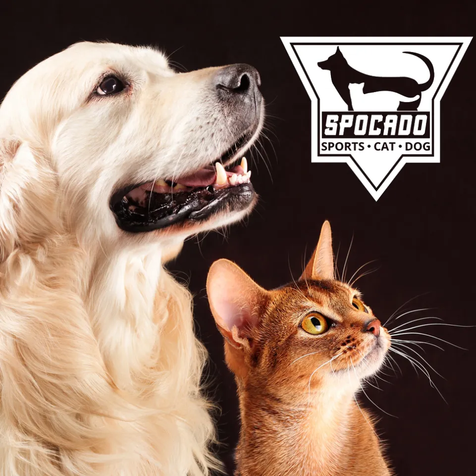 SPOCADO "Athletic" Kratzbaum für Katzen 112 x 40 x 40 cm beige